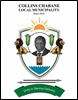 Collins Chabane Municipality