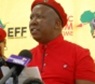 malema